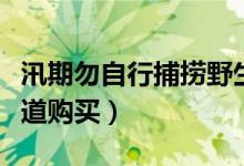 汛期勿自行捕捞野生小龙虾食用（应到正规渠道购买）