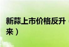 新蒜上市价格反升（“蒜你狠”会不会卷土重来）