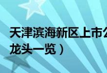 天津滨海新区上市公司有哪些（相关上市公司龙头一览）