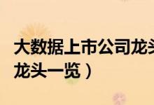 大数据上市公司龙头有哪些（大数据上市公司龙头一览）