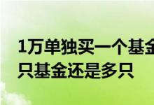 1万单独买一个基金还是买多个 有5万是买一只基金还是多只