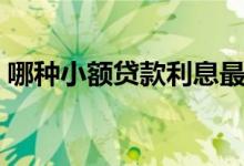 哪种小额贷款利息最低（利息最低小额贷款）
