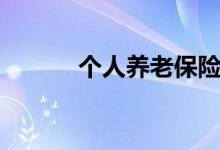 个人养老保险怎么查询 怎么买 
