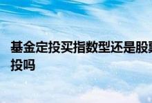 基金定投买指数型还是股票型 指数型基金和股票型都适合定投吗