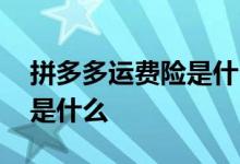 拼多多运费险是什么时候更新 拼多多运费险是什么