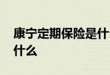 康宁定期保险是什么型 康定保的投保规则是什么