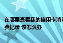 在哪里查看我的信用卡消费记录 我想查询一下我的信用卡消费记录 该怎么办