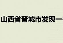 山西省晋城市发现一名核酸检测初筛阳性人员