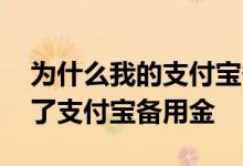 为什么我的支付宝备用金用不了 为什么用不了支付宝备用金