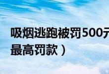 吸烟逃跑被罚500元（内地首单控烟违法个人最高罚款）
