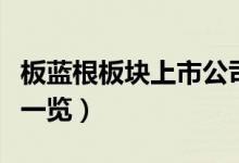 板蓝根板块上市公司有哪些（板蓝根股票名单一览）