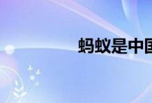 蚂蚁是中国人投保的吗？