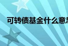 可转债基金什么意思 可转债基金什么意思