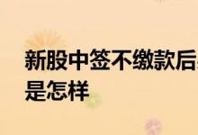 新股中签不缴款后果 新股中签不缴款的后果是怎样
