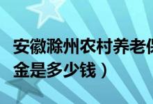 安徽滁州农村养老保险领取标准（滁州市养老金是多少钱）
