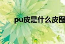 pu皮是什么皮图片（pu皮是什么皮）