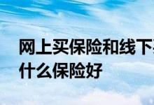 网上买保险和线下买保险的区别 买保险要买什么保险好
