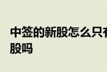 中签的新股怎么只有500股 新股中签都是500股吗