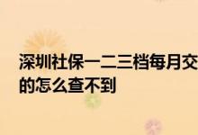 深圳社保一二三档每月交多少钱 深圳社保2022年怎么收费的怎么查不到 