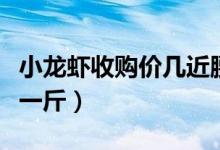 小龙虾收购价几近腰斩（现在最新价格多少钱一斤）