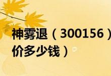 神雾退（300156）发行价多少（神雾退发行价多少钱）
