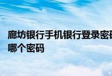 廊坊银行手机银行登录密码格式 廊坊银行网上银行的密码是哪个密码