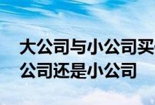 大公司与小公司买保险的区别 买保险要买大公司还是小公司
