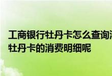 工商银行牡丹卡怎么查询消费记录 如何查询工商银行信用卡牡丹卡的消费明细呢
