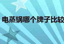 电蒸锅哪个牌子比较好（电蒸锅哪个牌子好）