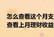 怎么查看这个月支付宝理财收益 支付宝怎么查看上月理财收益