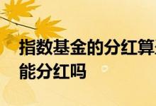 指数基金的分红算盈利么 指数基金利润为负能分红吗