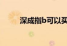 深成指b可以买吗 深成指B怎么买