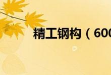 精工钢构（600496）发行价多少