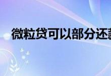微粒贷可以部分还款吗 微粒贷可以贷款吗