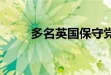 多名英国保守党要员宣布竞选党首