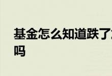基金怎么知道跌了加仓 基金赚了是自动加仓吗