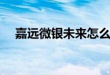 嘉远微银未来怎么样（嘉远微银怎么样）