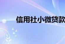 信用社小微贷款（信用社小额贷款）