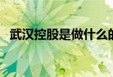 武汉控股是做什么的（其主营业务是什么）