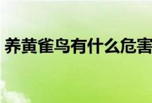 养黄雀鸟有什么危害（家养黄雀鸟注意什么）