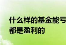什么样的基金能亏100% 是不是所有的基金都是盈利的