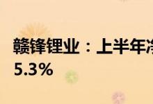 赣锋锂业：上半年净利同比预增408.24%-535.3%