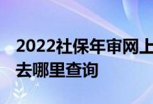 2022社保年审网上怎么操作的 社保缴费完后去哪里查询 