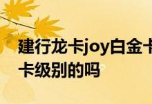 建行龙卡joy白金卡额度 建行龙卡joy是白金卡级别的吗