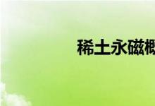 稀土永磁概念股震荡走低
