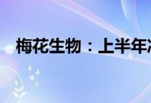 梅花生物：上半年净利同比增长156.45%