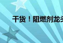 干货！阻燃剂龙头上市公司有哪些（）
