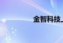 金智科技上演“地天板”