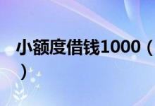 小额度借钱1000（1000元小额借款秒批app）