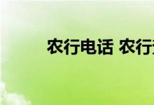 农行电话 农行查询开户行怎么查 